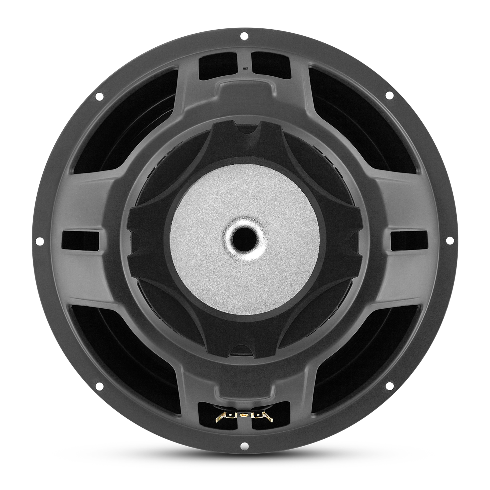 GT5-10D | 10 inch Dual Voice Coil Subwoofer