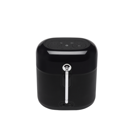 JBL Tuner FM Portable Bluetooth Speaker – Sound by Broot